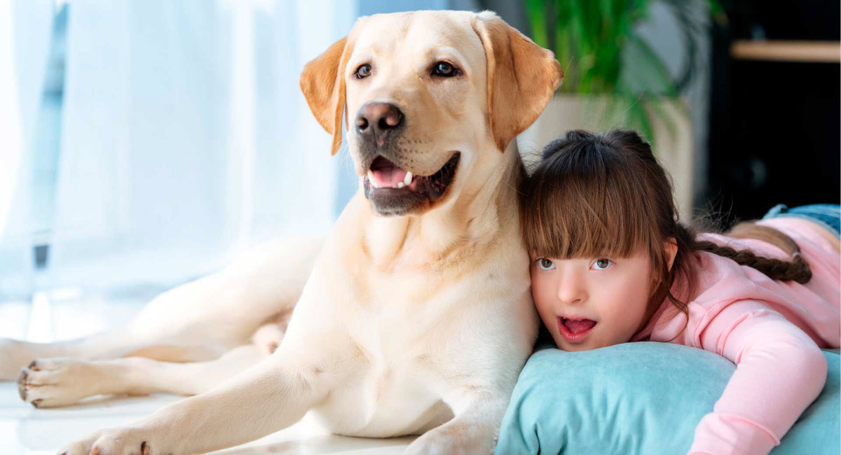 Beneficios de perros para niños con síndrome de Down